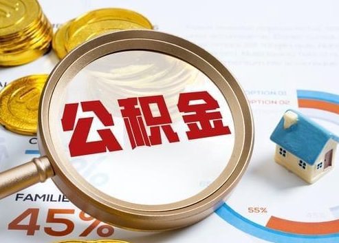 南岸2025年政策调整对个人影响综合解析‌