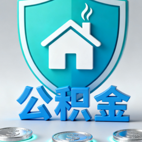 南岸公积金代办行业观察：谁在提供专业服务？